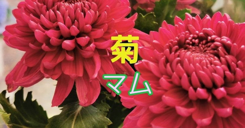 日本の国花って 石川 味季 Note