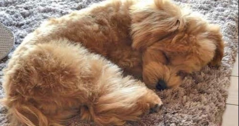 まいなすいおんの年のノート Note