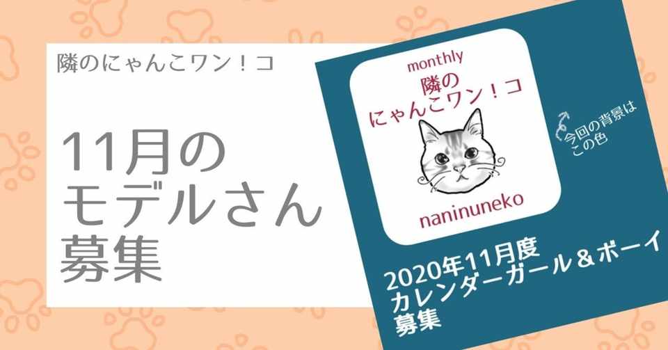 Instagramフォロワー様限定 年11月イラストモデル募集 なにぬ猫 Note