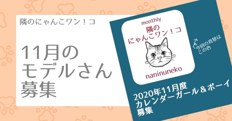Instagramフォロワー様限定 年11月イラストモデル募集 なにぬ猫 Note