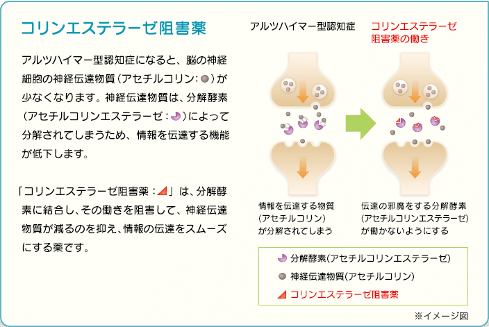 コリンエステラーゼ阻害薬