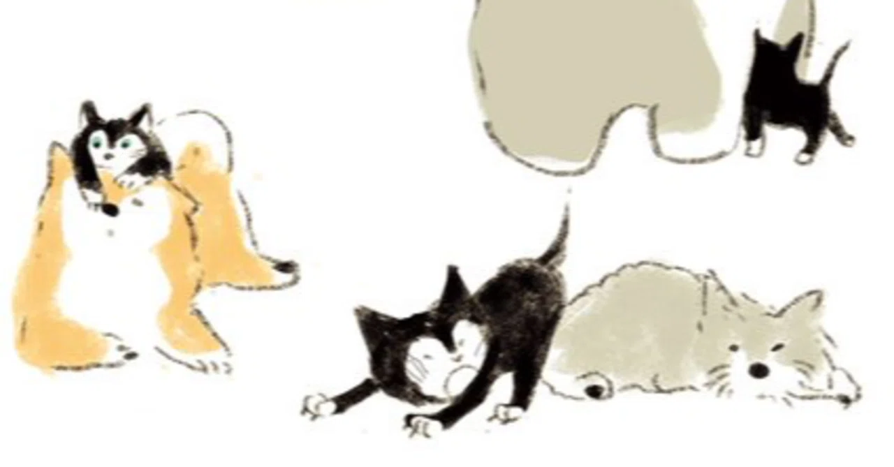 10月10日（土）：脳内で猫と犬を飼っている｜まりさん｜note