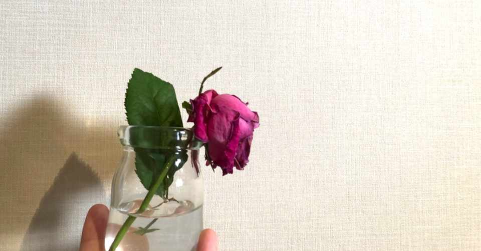 枯れた 薔薇が教えてくれた マインドフルネスが人間関係において大切な理由 てるい 照井 春奈 Note