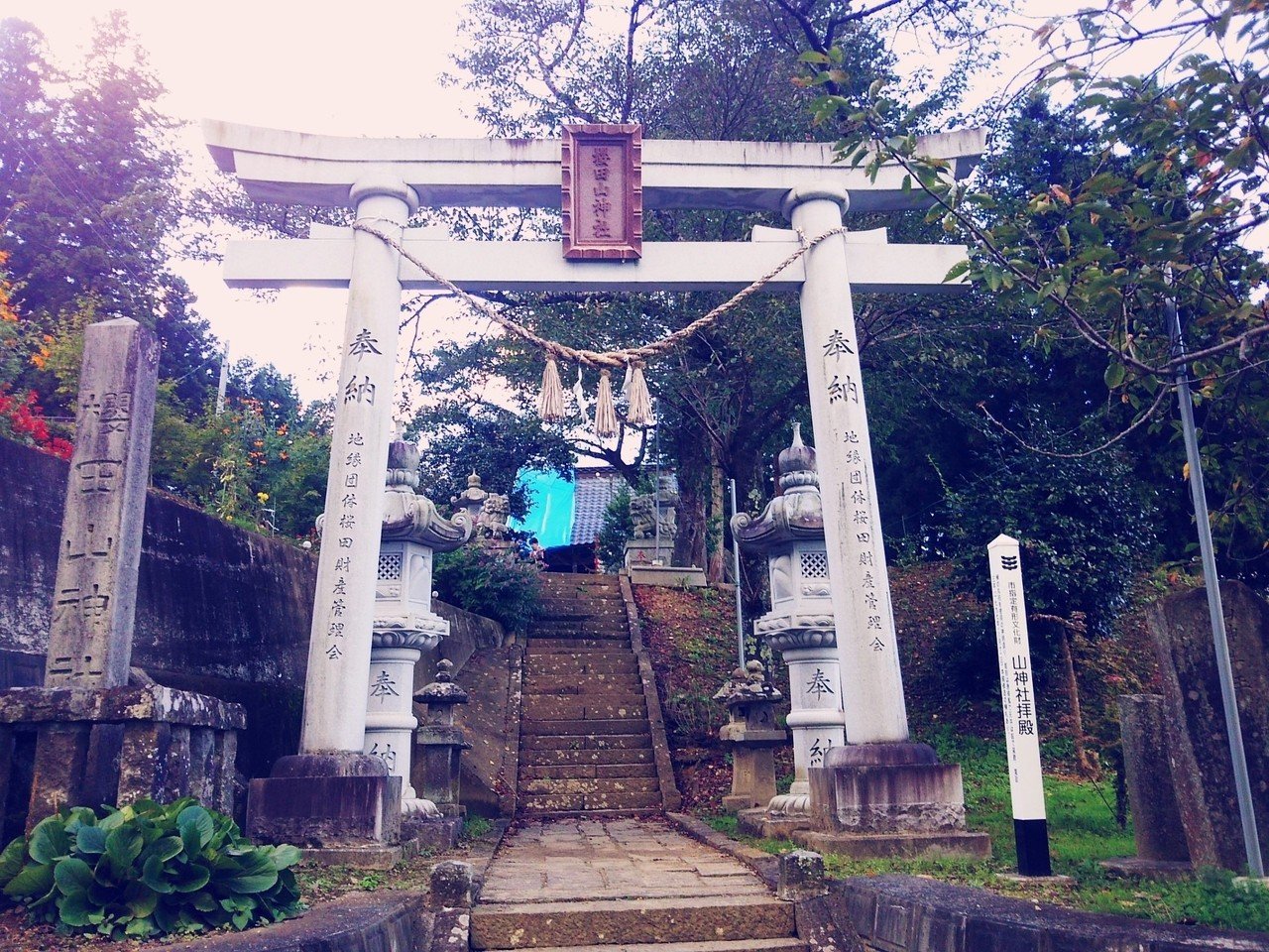 桜田山神社 狩野英孝実家 じゅんこ3 Note 桜田山神社 狩野英孝実家 じゅんこ3 Note