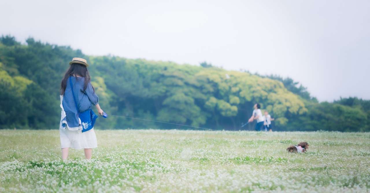学生、エッセイ