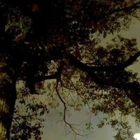 スカイ クロラ再読 主人公は誰だ あや Note