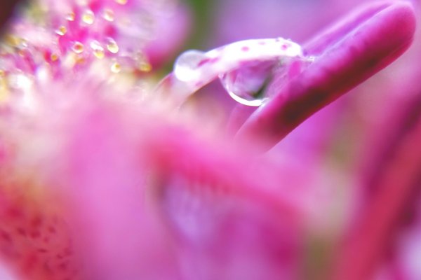 ほととぎすの花言葉は秘めた意思永遠にあなたのもの永遠の若さ花持ちの長さから来てるそうです笑 の新着タグ記事一覧 Note つくる つながる とどける ほととぎすの花言葉は秘めた意思永遠にあなたのもの永遠の若さ花持ちの長さから来てるそうです笑 の新着タグ記事一覧 Note つくる つながる とどける