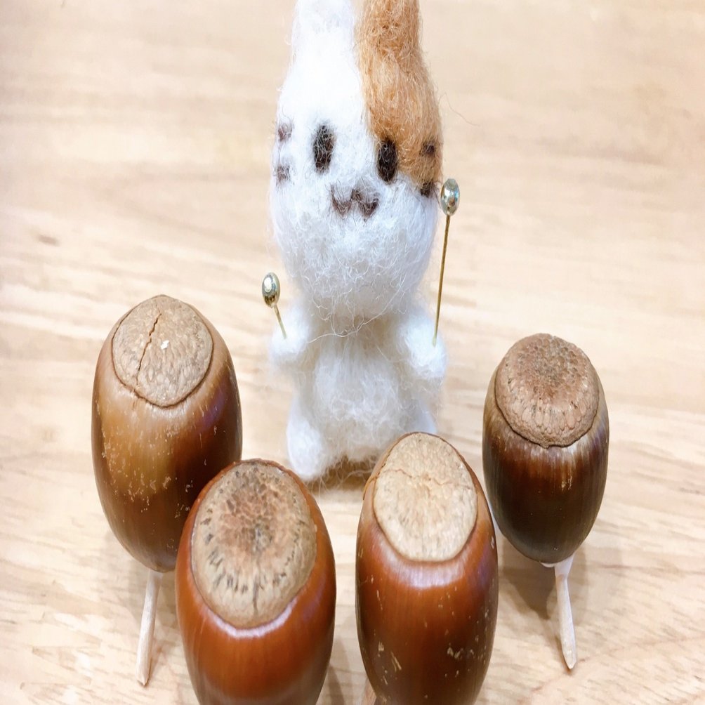 どんぐりティンパニ｜ふじこ@ふじねこ屋