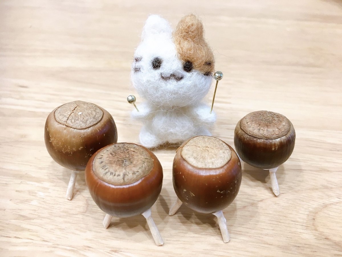 どんぐりティンパニ｜ふじこ@ふじねこ屋