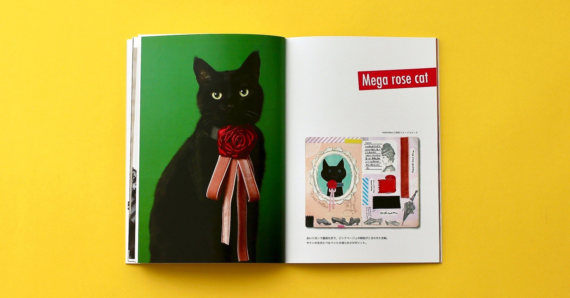 ねこのきもち 17冊 2007、2008、2009 - メルカリ