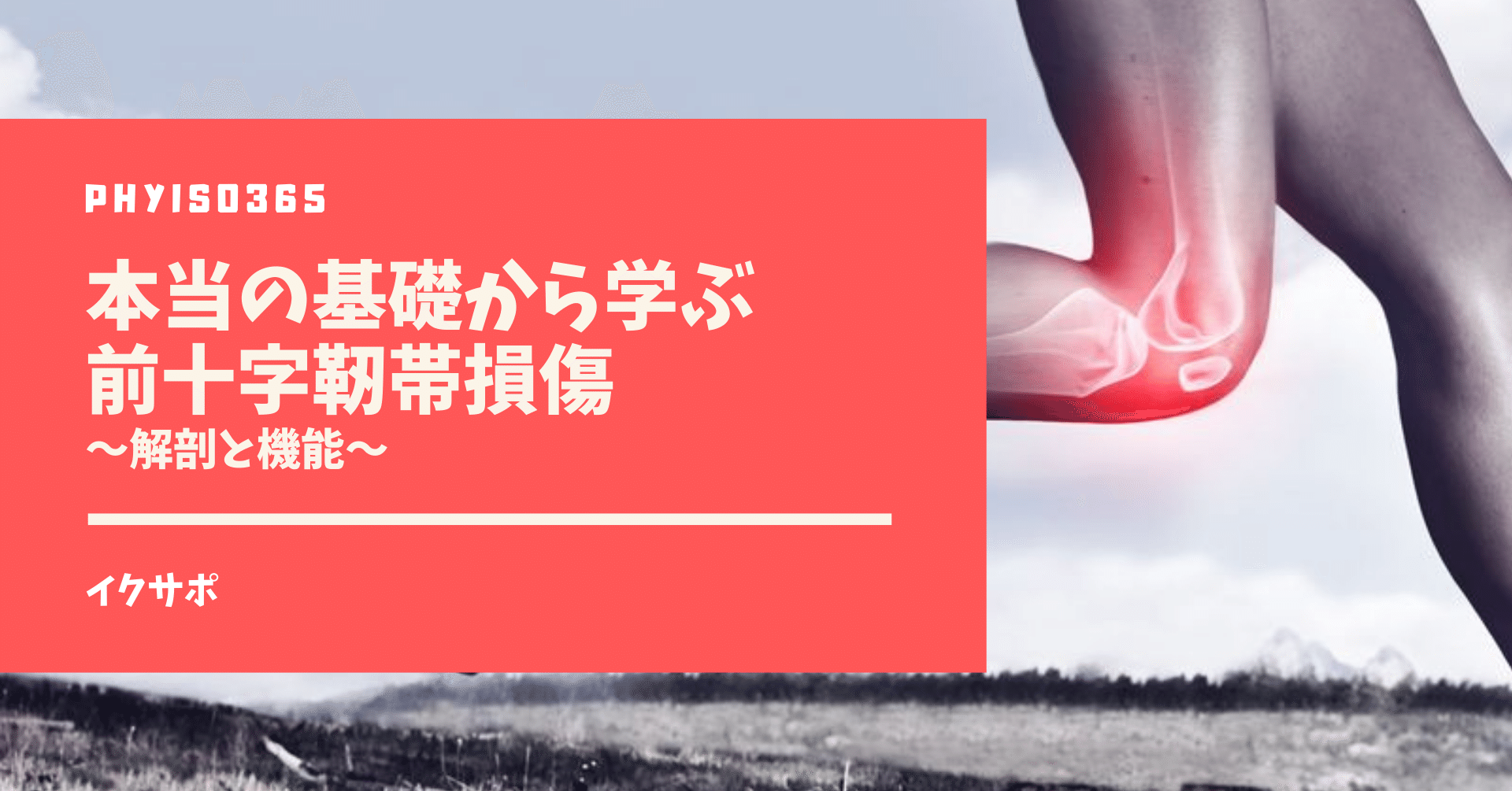 本当の基礎から学ぶ前十字靭帯損傷 解剖と機能 イクサポ 育成フィジカルコーチ Note