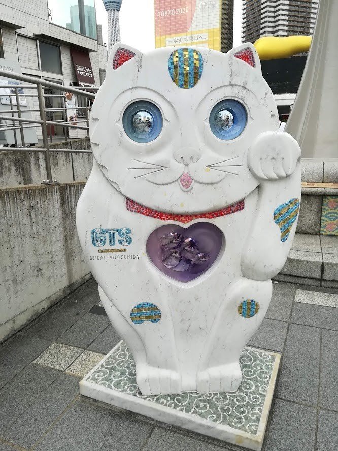 墨田川の猫