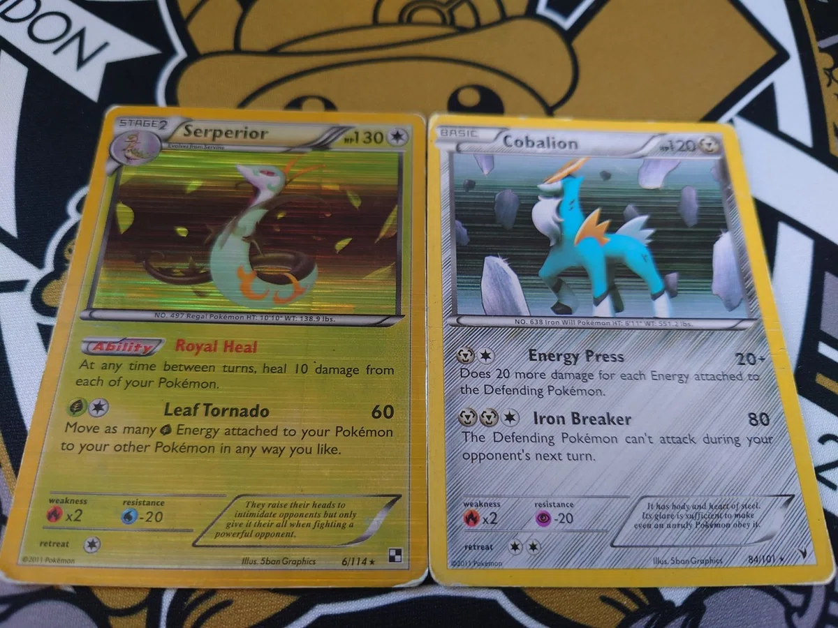 Learning About Fake and Knockoff Cards [BW-SM Edition]｜名もなき人