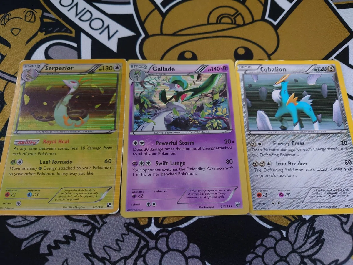 Learning About Fake and Knockoff Cards [BW-SM Edition]｜名もなき人