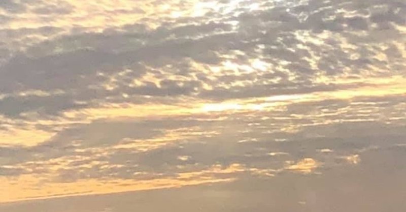 世界平和のために何ができるかですって 家へ帰って あなたの家族を愛しなさい Byマザーテレサ Devozione444 Note 世界平和のために何ができるかですって 家へ帰って あなたの家族を愛しなさい Byマザーテレサ Devozione444 Note