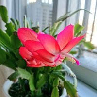 ポルノグラフィティ ワン ウーマン ショー 甘い幻 歌詞解釈 そうそれは友に できるならあなたに あいけ ガンランサー Note ポルノグラフィティ ワン ウーマン ショー 甘い幻 歌詞解釈 そうそれは友に できるならあなたに あいけ ガンランサー Note