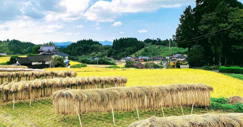 里山が消える 高齢化 人口減少による土地利用変化と生物多様性の保全 久保田康裕 琉球大学理学部 久保田研究室 シンクネイチャー Note