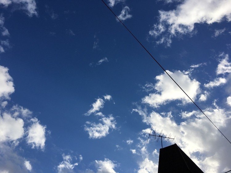 曇り空からの晴れ間
#葉山
#三崎のマグロ訪ねて
#小を頼んだら本当にちっさかった