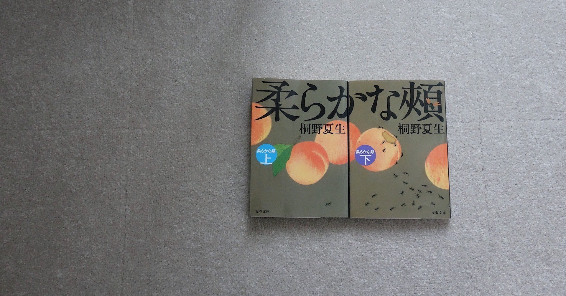 柔らかな頬 桐野夏生 Eri Note