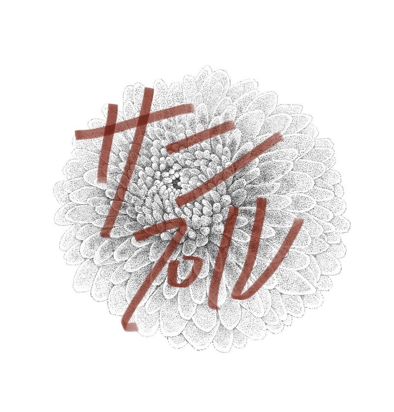 牡丹 菊 椿 乙女椿 なべるい Note