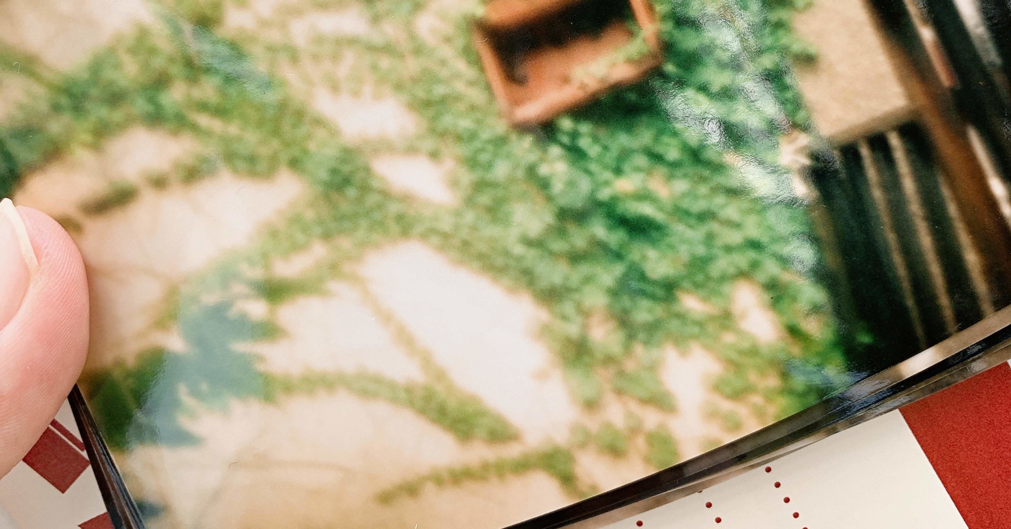 ピンホールカメラ買ってみました 現像編 のこ Note ピンホールカメラ買ってみました 現像編 のこ Note