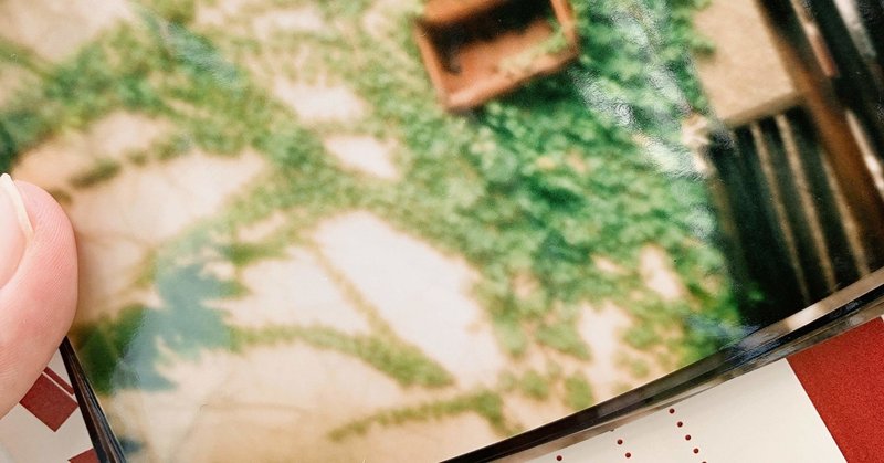 ピンホールカメラ買ってみました 現像編 のこ Note