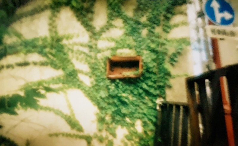 ピンホールカメラ買ってみました 現像編 のこ Note