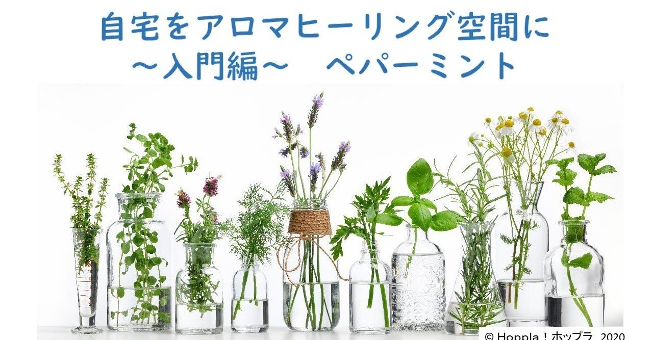 2本セット　新品未開封　フランキンセンス　オンガード　ドテラ　15ml 正規品 新品未開封】ドテラdoTERRAプレシャスフローラルセット （OTG