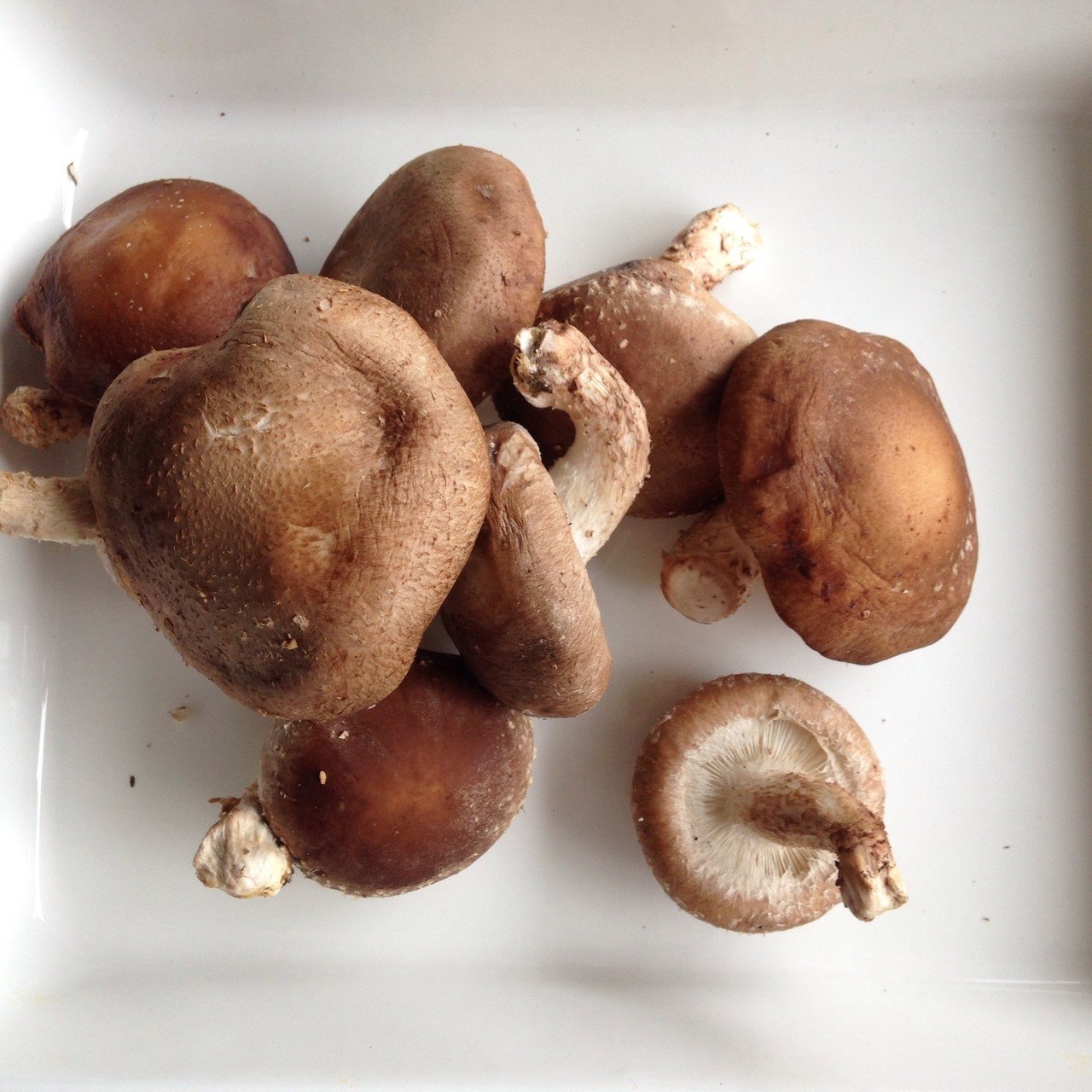 スーパーで買えるきのこ図鑑 有賀 薫 Note スーパーで買えるきのこ図鑑 有賀 薫 Note