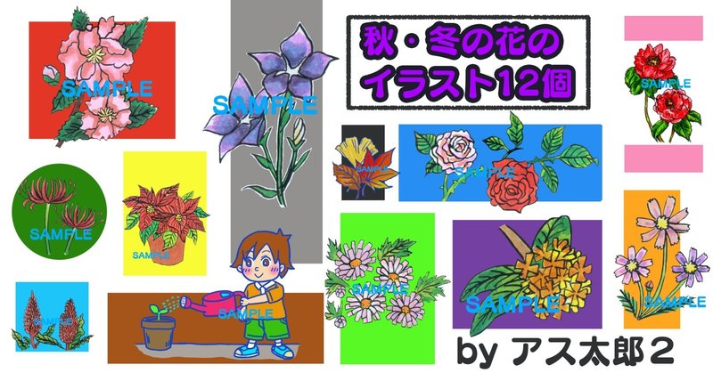 イラストデータ販売 透過png 秋 冬の花のイラスト 12個 サザンカ キキョウ キンモクセイ コスモス ツバキ バラ キク ポインセチア ヒガンバナ ケイトウ 落ち葉 水やり アス太郎2 Note