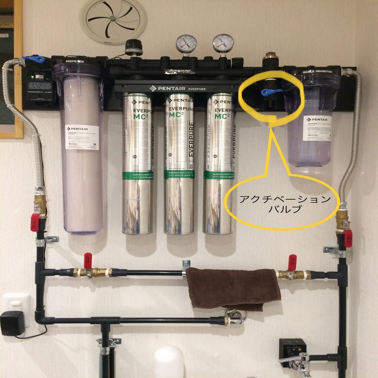 Pentair エバーピュア カートリッジ 浄水器 QL3-2FC カートリッジ