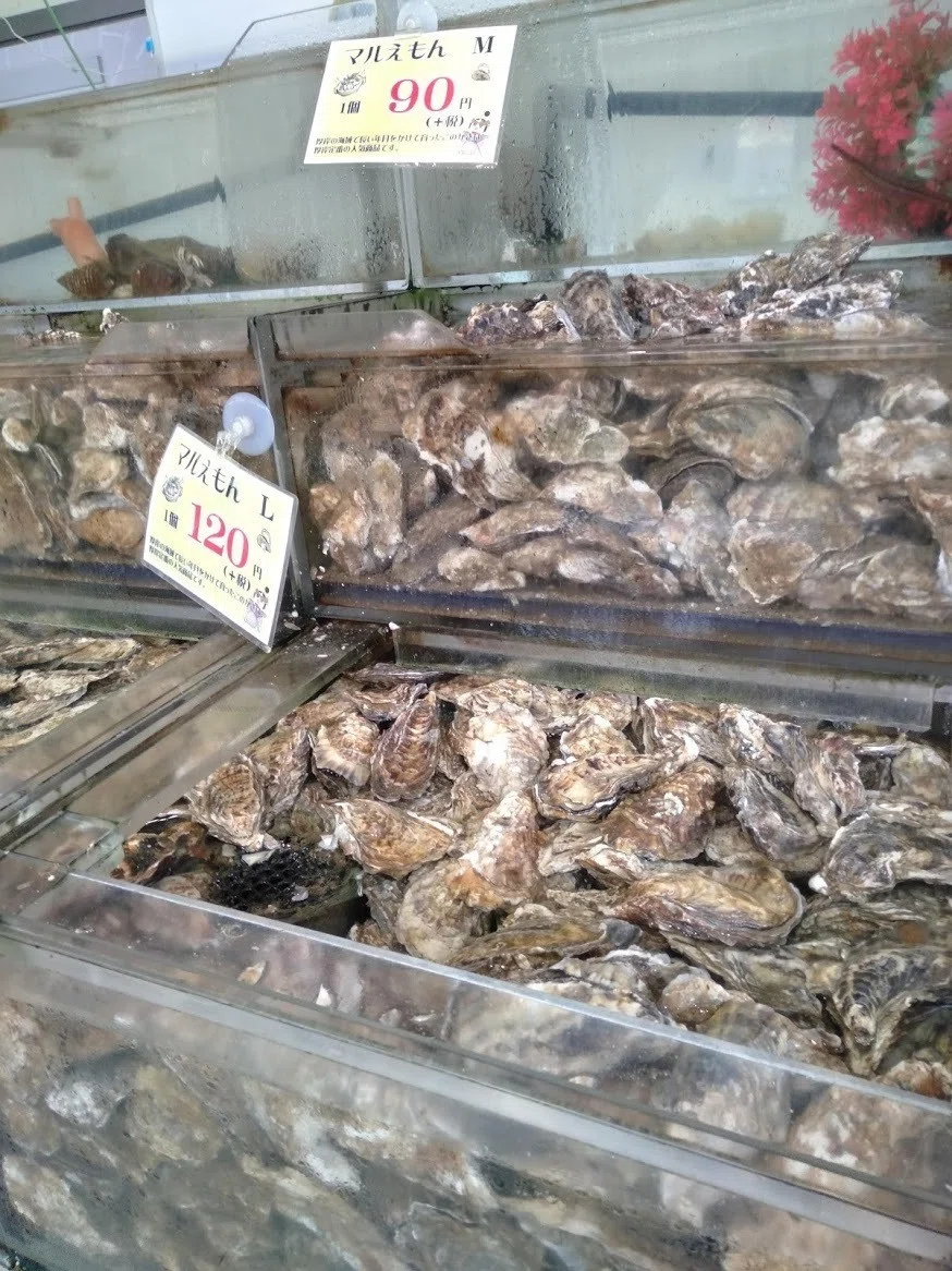 画像7