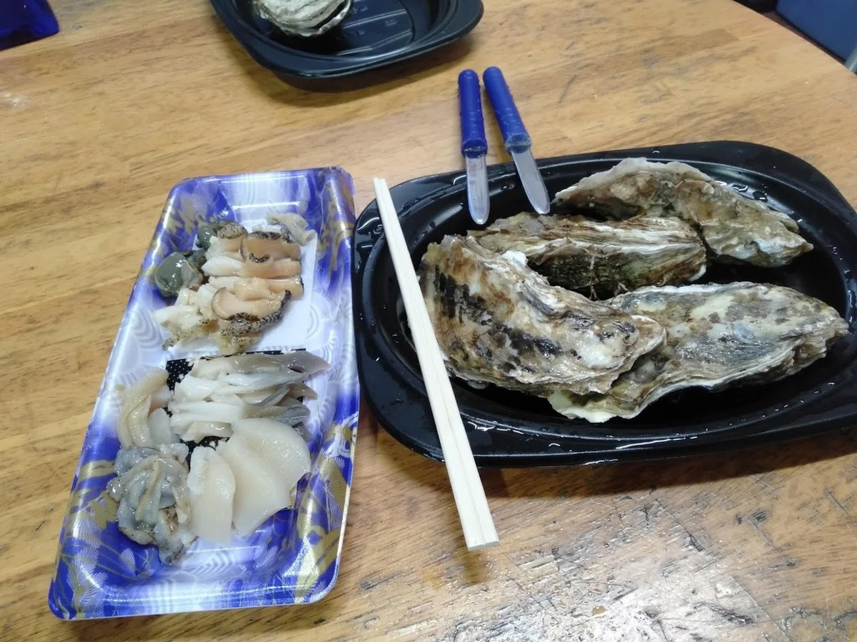 画像8