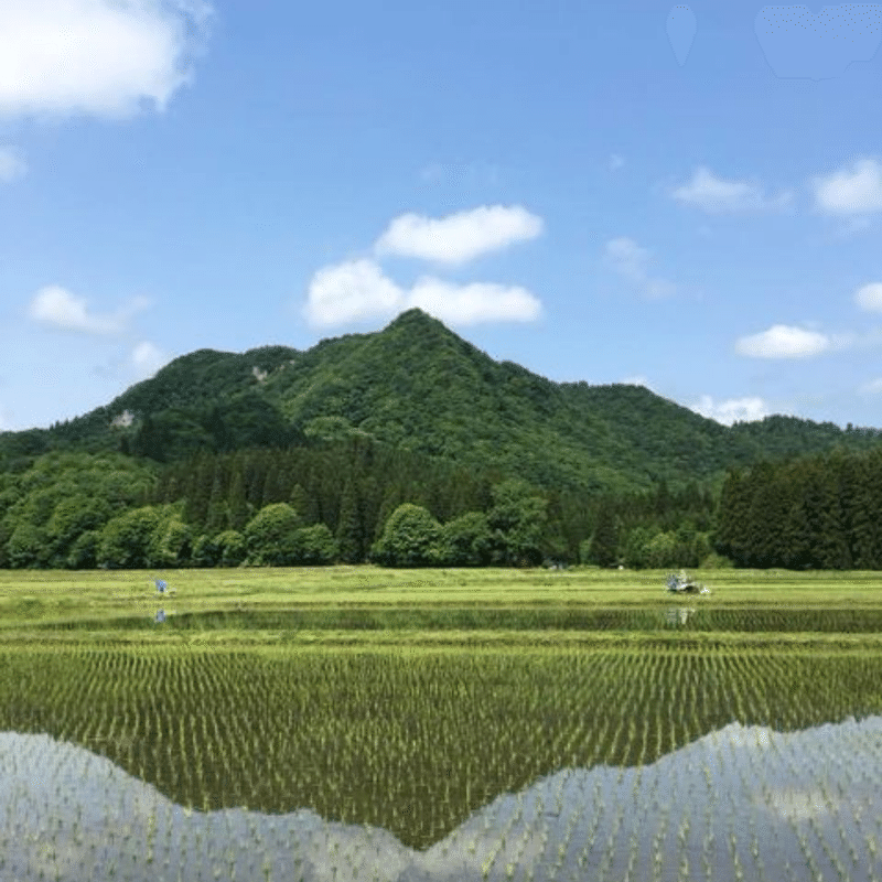 名称未設定のデザイン-110