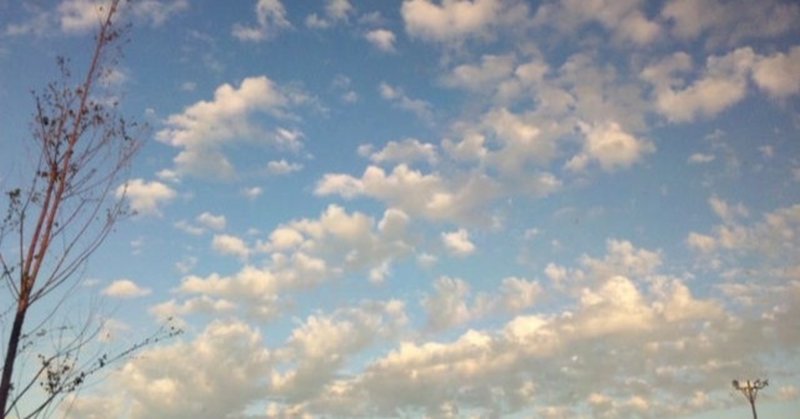 秋雲が綺麗だった ただそれだけで報われるような こなたろ Note