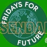 Fridays For Future Sendai