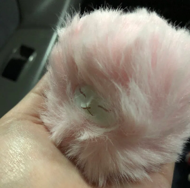 すねこすり の新着タグ記事一覧 Note つくる つながる とどける