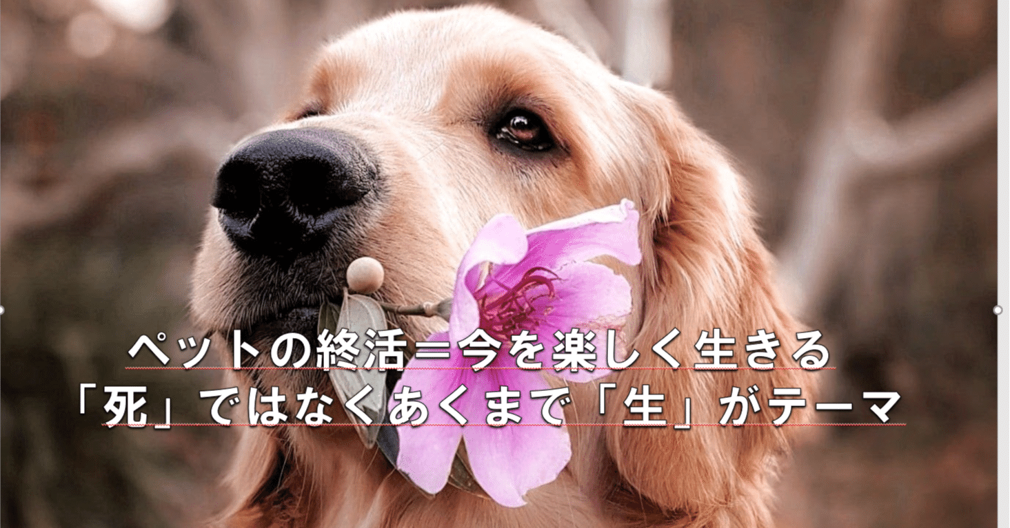 カウンセリングとアドバイスは紙一重 トリマーのイサちゃん Note カウンセリングとアドバイスは紙一重 トリマーのイサちゃん Note