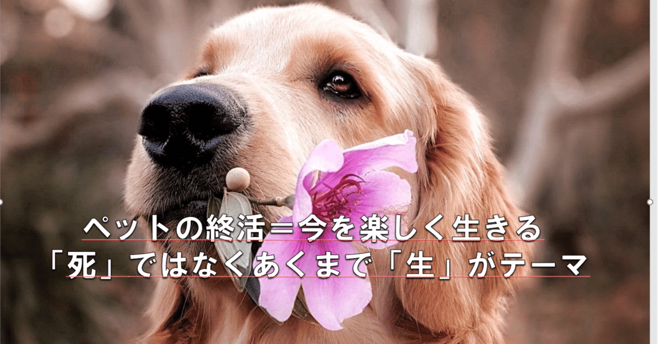 ペットロスカウンセラー の新着タグ記事一覧 Note つくる つながる とどける
