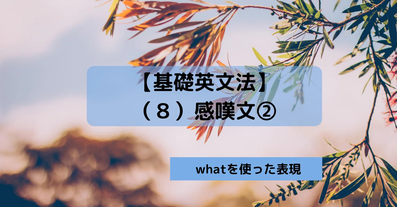 基礎英文法 ８ 感嘆文 What きむっち 継続で電子書籍3冊を出版した人 Note