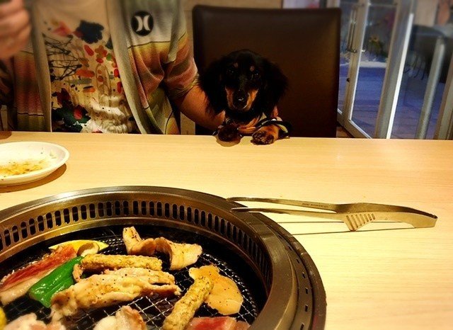 ワンコ同伴焼肉 Mizuki Note