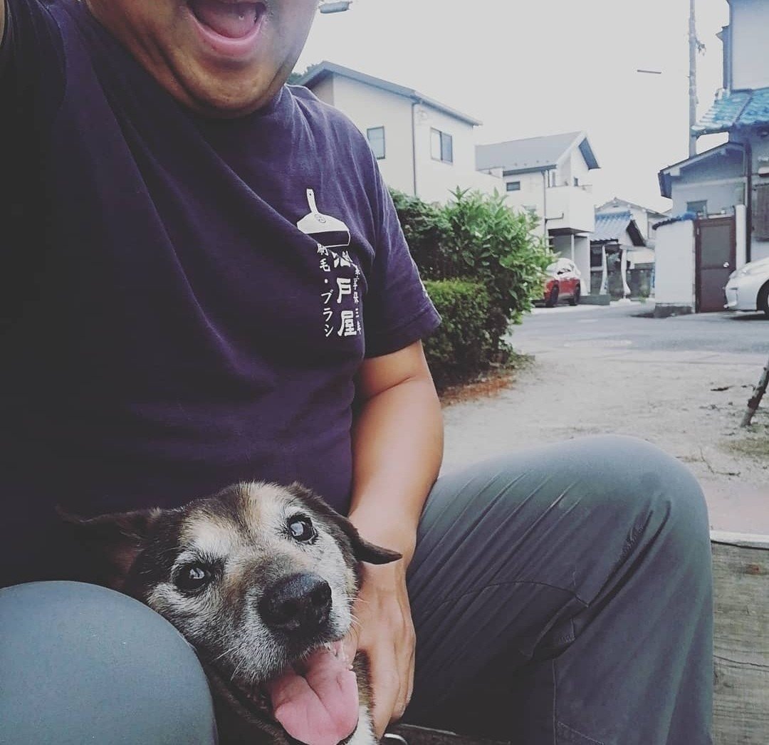 犬は子供としてやってきてくれて最後は自分の先生として死んでいく Naoto 社労士和尚 Note 犬は子供としてやってきてくれて最後は自分の先生として死んでいく Naoto 社労士和尚 Note