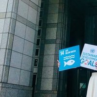 健康で幸せな人生を送るために必要なたった一つのもの 杉浦彩花 Sdgs Prディレクター Note