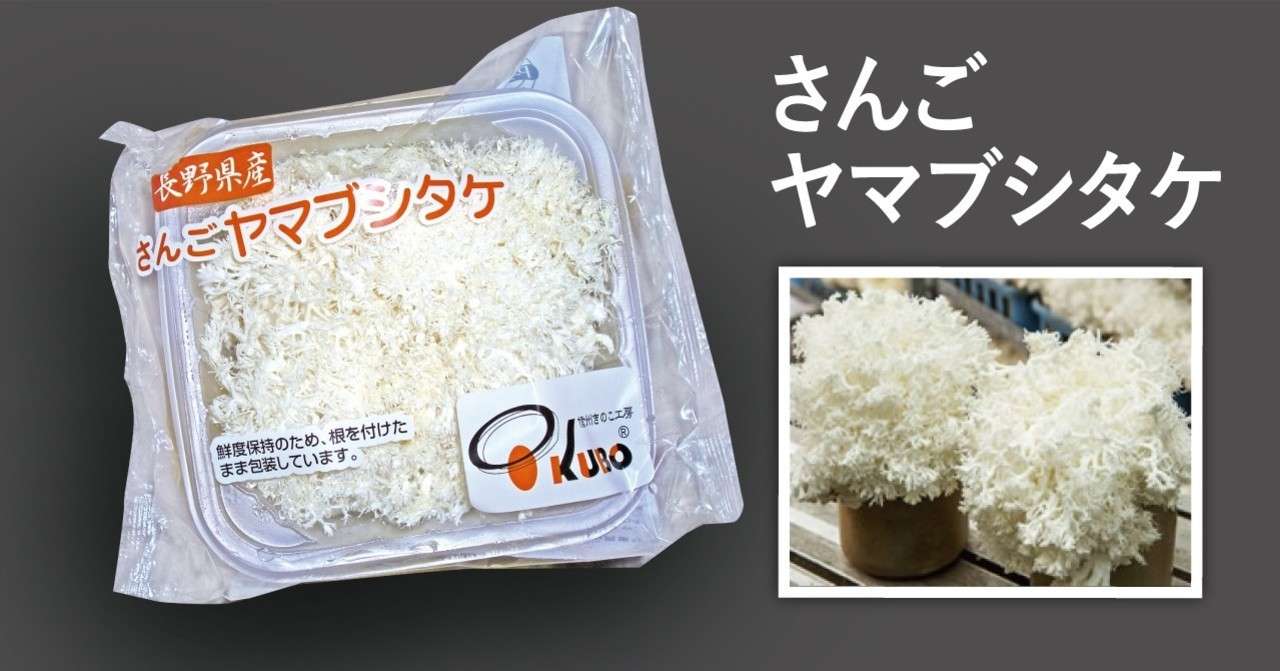 きのこ一筋65年 千曲川のほとりで さんごヤマブシタケ を栽培しています ナガノきのこ大祭 Note