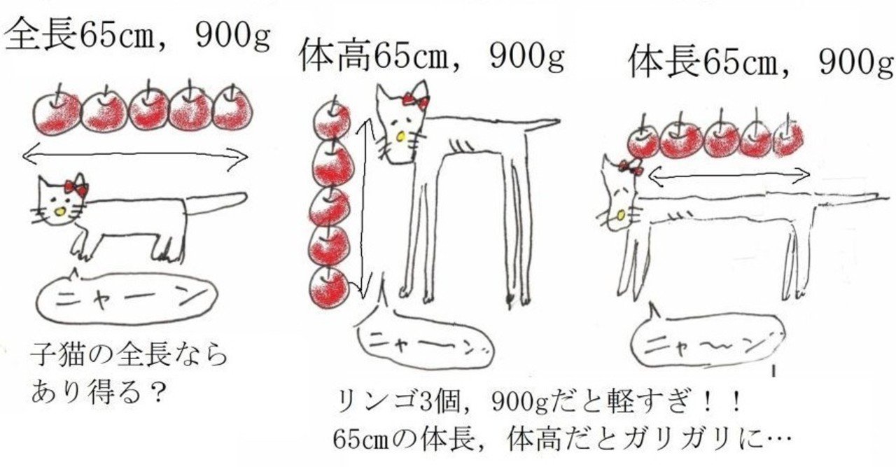 りんご3個分とは，どういう意味ですか？サイエンスブレイク162｜宮元一