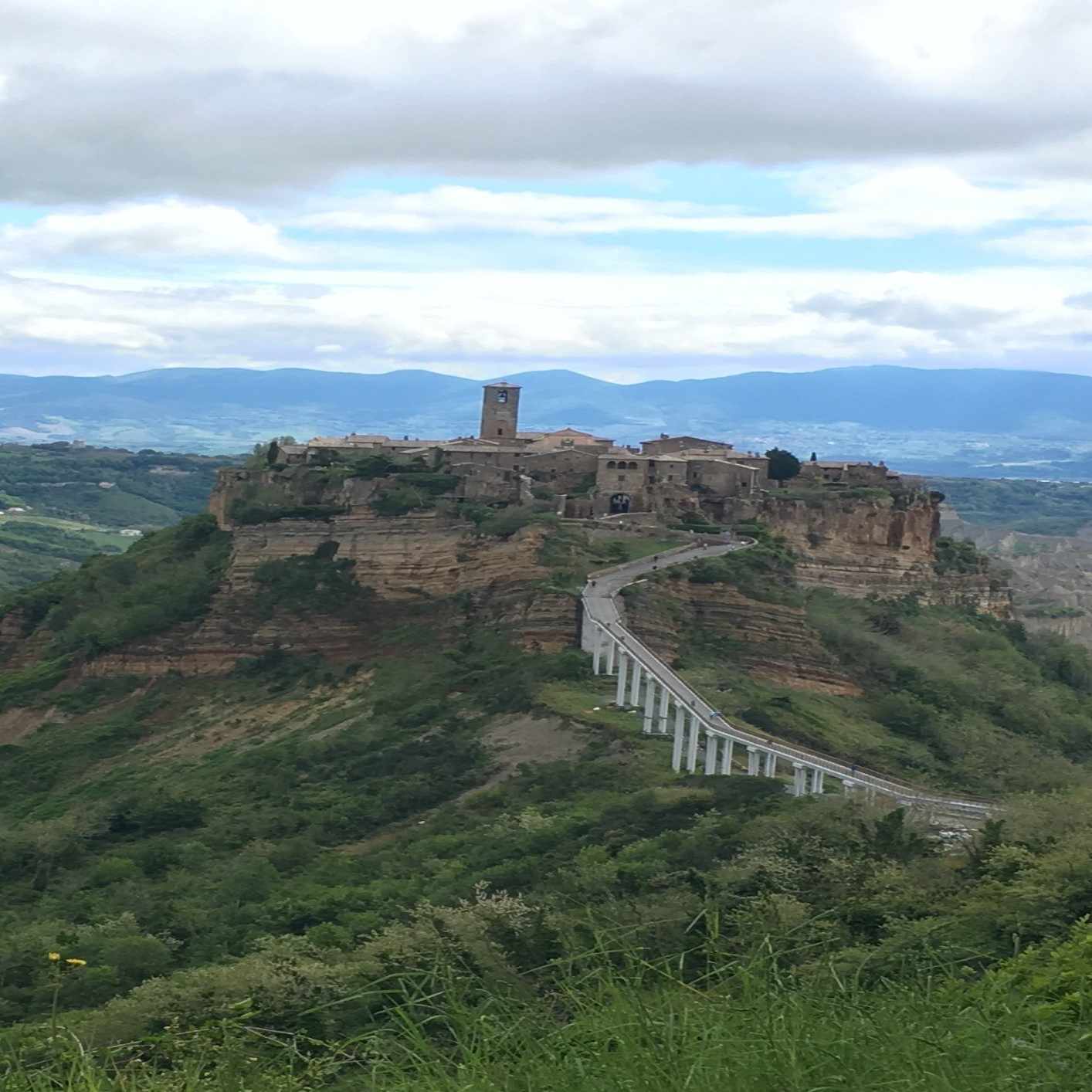 エドワード・ホフマン『アドラーの生涯』（読書感想）｜Takehiro Nagata