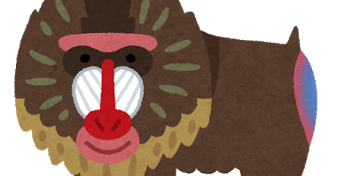 アニマル編 動物園に行ったら必ず見て欲しい マンドリル わたあめ Note