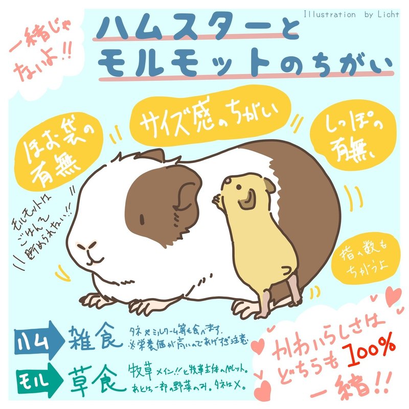 モルって大変 改訂版 Licht 小野りひと イラストレーター Note