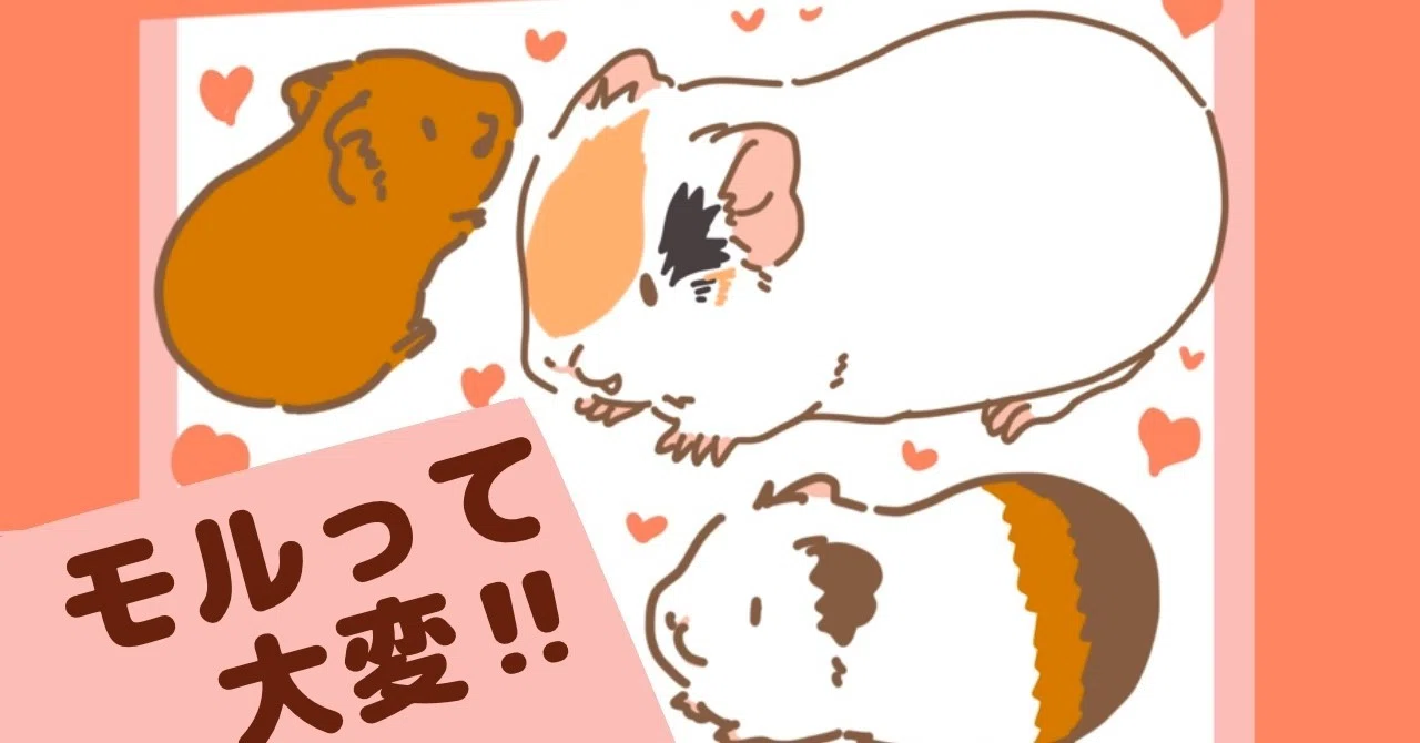 モルって大変！【改訂版】｜Licht／小野りひと:モルモットイラストレーター