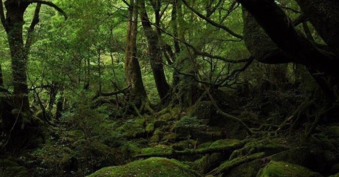 募集 寿庵mountain Night 屋久島の小原ガイドがリモートで登場 12月19日 土 大山ゲストハウス寿庵 Note 募集 寿庵mountain Night 屋久島の小原ガイドがリモートで登場 12月19日 土 大山ゲストハウス寿庵 Note